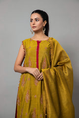 EMBROIDERED & EMBELISHED RAW SILK 2 PCS (UNSTITCHED)