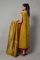 EMBROIDERED & EMBELISHED RAW SILK 2 PCS (UNSTITCHED)