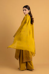 EMBROIDERED COTTON KARANDI 3 PCS (UNSTITCHED)