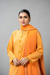 PRET SOLID YARN DYED STRIP KHADDAR 3 PCS