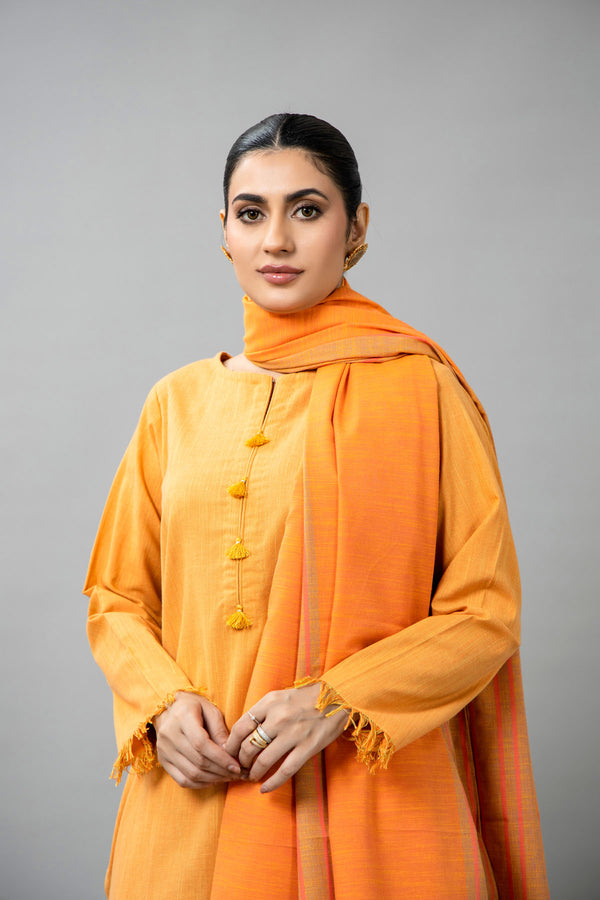 PRET SOLID YARN DYED STRIP KHADDAR 3 PCS