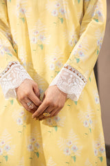 EMBROIDERED & PRINTED LAWN 2 PCS (UNSTITCHED)