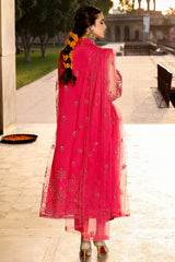 Embroidered  Polyester Net 2 Pcs