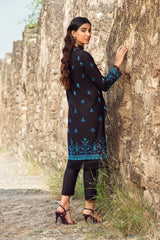 EMBROIDERED  KARANDI LAWN 2PCS