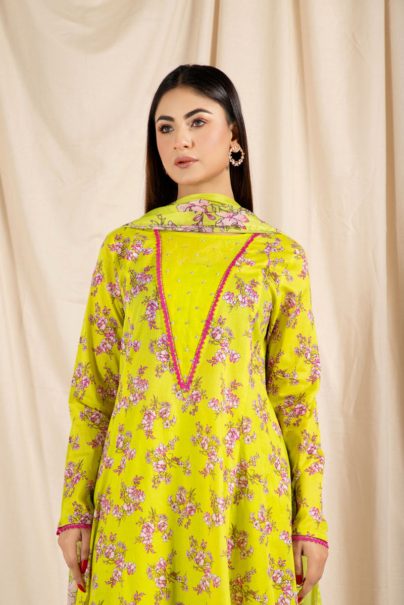 Printed Mid Silk Dupatta