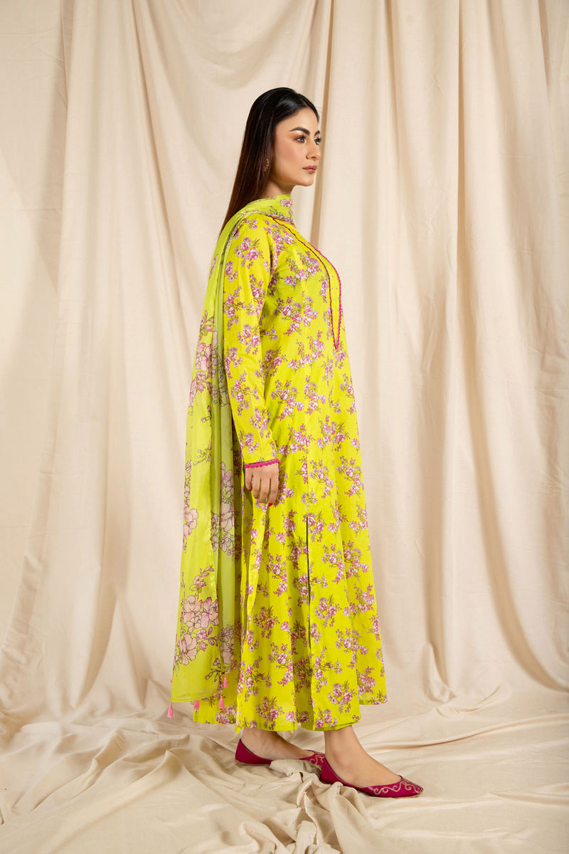 Printed Mid Silk Dupatta