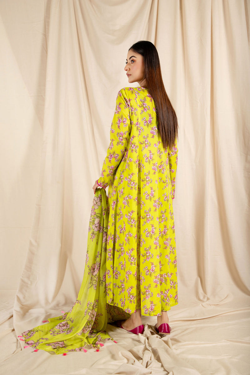 Printed Mid Silk Dupatta